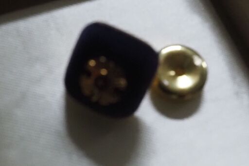 お宝、東京都文化賞、記章 - その他 