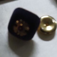 お宝、東京都文化賞、記章