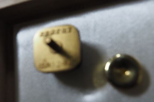 お宝、東京都文化賞、記章 - その他 