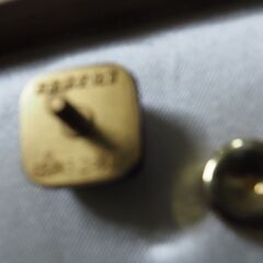 お宝、東京都文化賞、記章