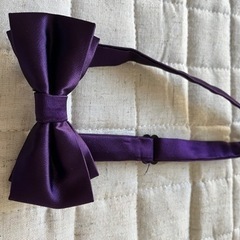紫色蝶ネクタイ