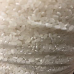 米 精米済み 米虫有 30kg