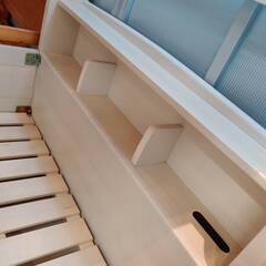 【愛品倶楽部柏店】GranzKIDS STAGE 2段ベッド フリートキャビネット