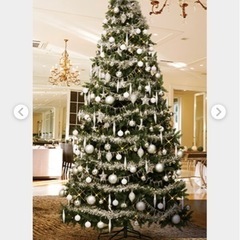 大型　クリスマスツリー　探してます