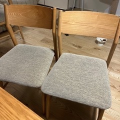 unico ウニコ ダイニングテーブルセット