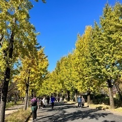 11/26☀️大阪城公園でゆるウォーク🚶‍♀️ - 大阪市