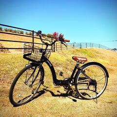 自転車 6段切り替え 26㌅：Metal black~