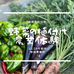 11/28✨お野菜植付け作業✨田川農業体験👩‍🌾