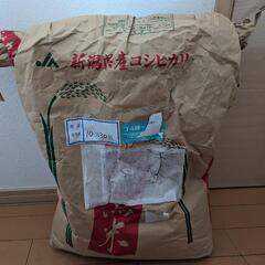 新潟産　コシヒカリ　米　約5キロ