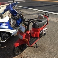 HONDA スカッシュ　AB11 埼玉県三郷市から