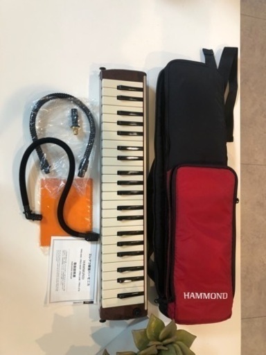 ⭐️エレアコ鍵盤ハーモニカ　HAMMOND PRO-44H⭐️撮影で1度使用のみ
