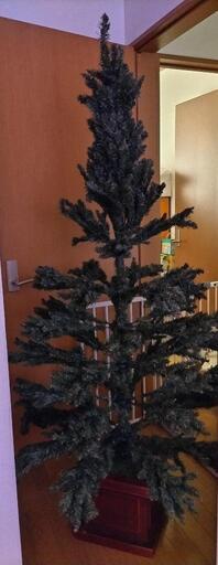 クリスマスツリー