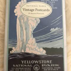 新品未使用・アメリカの国立公園のビンテージポストカード