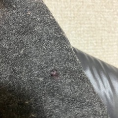 デュベティカ　ダウン　オイネオ