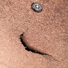 サンダーV 実機 メダル不要機付き