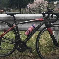 【ロードバイクset】Wilier：Montegrappa Te...