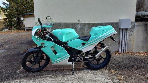 購入予定者有り)68.8ccボアアップ NS-1 MC16カウル流用 ミンテラ