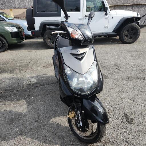 シグナスX  2型