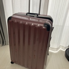 スーツケース（skipio ii、特大）傷あり、鍵なし