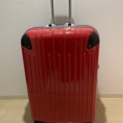 ✨大型スーツケース　TAS✨