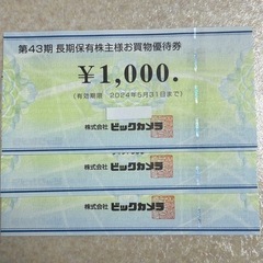 ビックカメラ株主お買物優待券　950円／枚