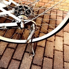 自転車　VENUS ホワイト　26インチ