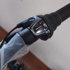 自転車　KYUZO スティンググレイ