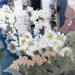 押し花アート　銘あり　押し花絵　額装　芸術　森　インテリア　飾り　壁掛け　プレストフラワー　46×55㎝　カフェ　ハンドクラフト