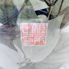 押し花アート　銘あり　押し花絵　額装　芸術　森　インテリア　飾り　壁掛け　プレストフラワー　46×55㎝　カフェ　ハンドクラフト