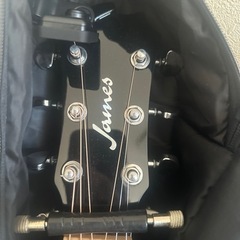 James 450Dギター