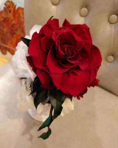 Flower Brand y&H☏029‐275‐2129