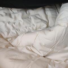 ゼッペル綿100% 高級敷布団