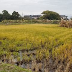 ★★　海まで徒歩の田んぼ物件 3区画セット★★