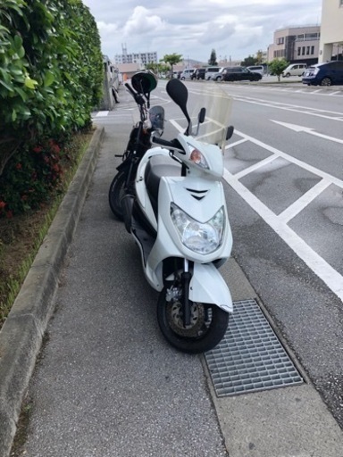 シグナス二型