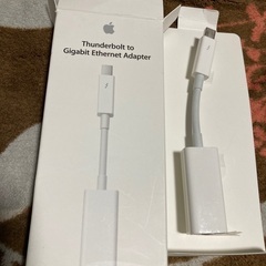 Apple アダプター　変換