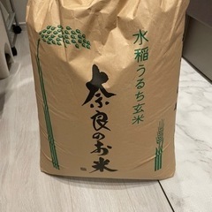 古米ヒノヒカリ30kg玄米令和4年