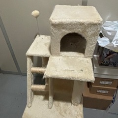 ‼️無料猫タワー
