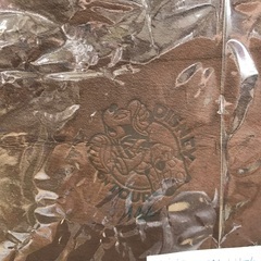 当選品 JAL ディズニー革製トランクケース