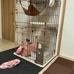 キャットゲージ(完成時と今の状況)、猫のトイレ砂