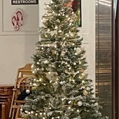 クリスマスツリー（ニトリ）　180センチ