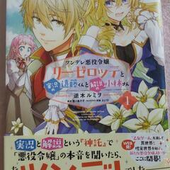 【美品】ツンデレ悪役令嬢リーゼロッテと実況の遠藤くんと解説の小林...