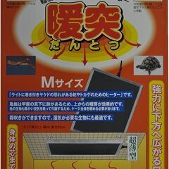 爬虫類ケージセット