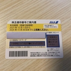 ANA 株主優待券（有効期限2024年11月30日） (aoao) 松山の飛行機の中古