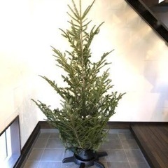 【値下げ】IKEA イケア　クリスマスツリースタンド