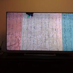 【最終価格】レグザ 55インチ  タイムシフト搭載 4K 20年製 3チューナーW録