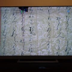 【最終価格】レグザ 55インチ  タイムシフト搭載 4K 20年製 3チューナーW録