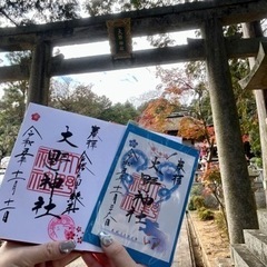 お友達募集⸜🌷︎⸝‍ - 大阪市