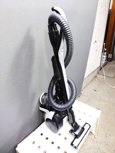 美品 掛け軸 臼田弘毅作 京洛冬景図 金閣寺 共箱 花鳥 南天 縁起物 正月