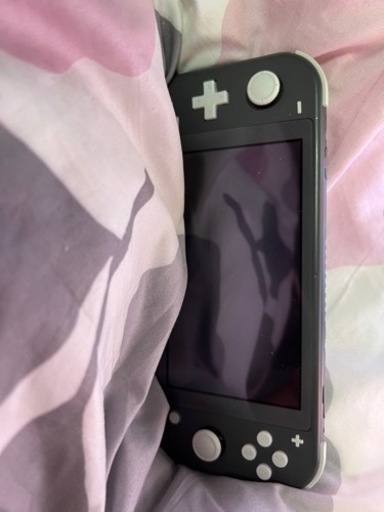Switchライト