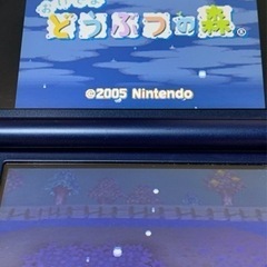 ニンテンドーDSソフト　おいでよ　どうぶつの森　ソフトのみ　良品　